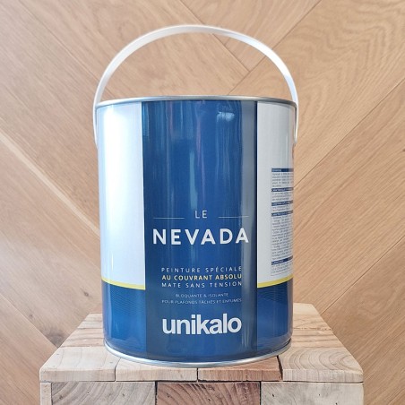NEVADA