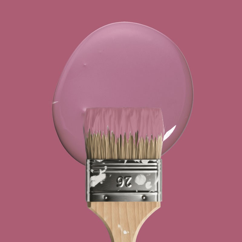 D-004 Blush